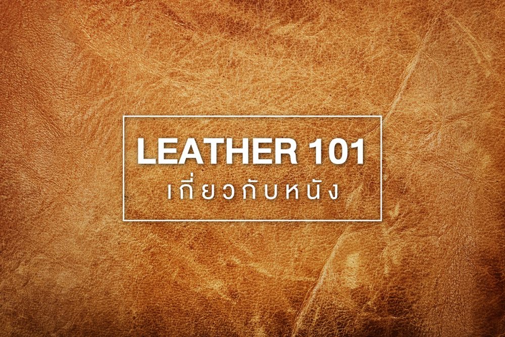 Leather 101 - ประวัติเครื่องหนัง ขั้นตอนการทำ และ แบรนด์เครื่องหนัง