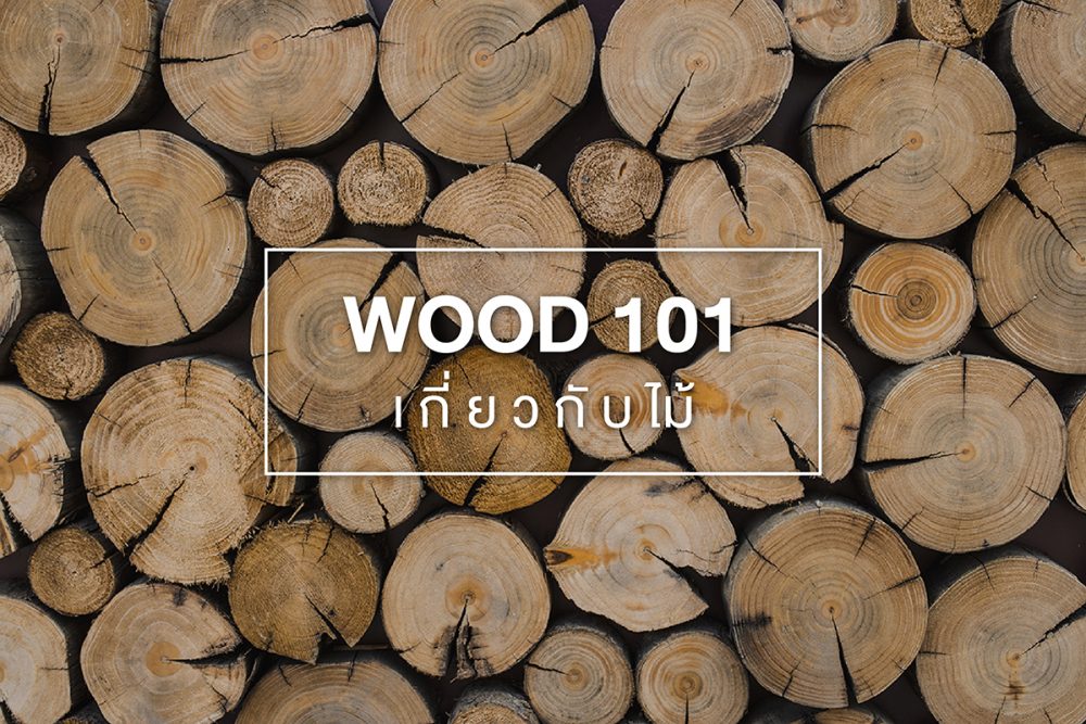 WOOD 101 - ทำความรู้จักกับไม้ การประยุกต์ใช้สอย และช่องทางจัดจำหน่าย